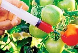 Cum recunoşti produsele modificate genetic 