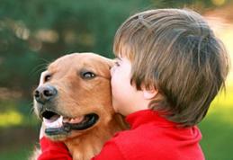 Câinii de companie protejează copiii de alergii - studiu