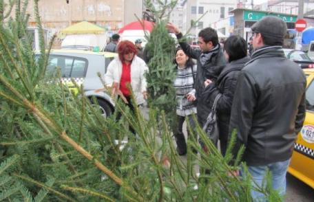 Ce amenzi riscă românii care îşi cumpără din piaţă brazi de Crăciun vânduţi fără acte