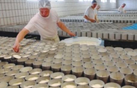 Noile reguli europene vor obliga România să transforme laptele în cașcaval scump și parmezan