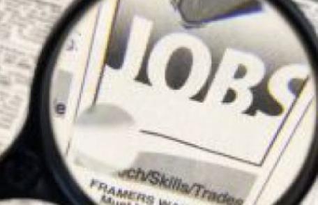 AJOFM Botoșani ofertă de 750 de locuri de muncă în Spania