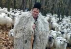 Ghiță Ciobanul