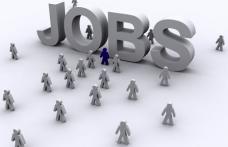 Situatia locurilor de munca vacante aflate in baza de date a AJOFM la data de 24  ianuarie 2011
