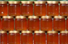 DAS Dorohoi: Vezi programul de distribuire a mierii de albine prin programul PEAD 2013!