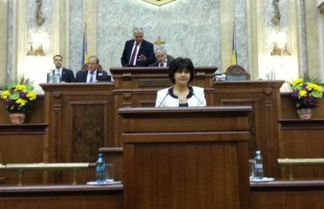 Senator Doina Federovici: Interpelare adresată Ministrului Muncii privind măsurile de protecție socială în perioada sezonului rece 