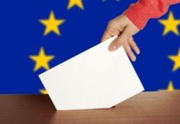 Primăria Dorohoi: Vezi până se depun cererile cetățenilor străini pentru participarea la europarlamentare