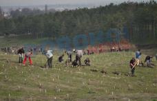 Primăria municipiului organizează mâine o nouă campanie de plantare de pomi, sub sloganul „Te iubesc Dorohoi”. Vezi detalii!
