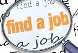 AJOFM Botoșani: 125 locuri de muncă disponibile în această săptămână