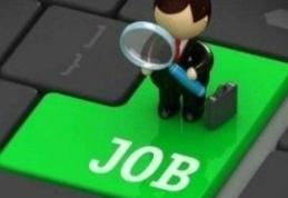 Aproape 500 de dorohoieni în căutarea unui loc de muncă la sfârșitul lunii februarie