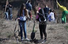 „România prinde rădăcini” la Dorohoi: Voluntariat pentru completarea plantației – VIDEO/FOTO