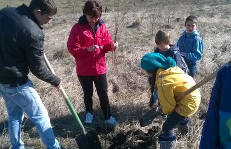 Copiii de la Complexul de Apartamente „Casa mea” – voluntari la acțiunea „România prinde rădăcini”
