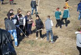 Acțiune de voluntariat a elevilor și profesorilor de la Liceul Al. Vlahuță Șendriceni - FOTO