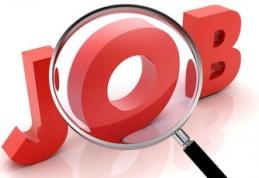 AJOFM Botoșani: 136 locuri de muncă disponibile în această săptămână