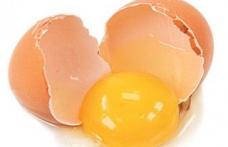 Gălbenuşul de ou e mai nociv decât fast food