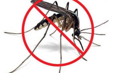 Cum scapi de țânțari în mod natural