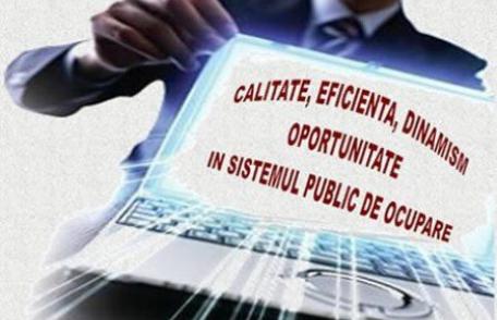 AJOFM Botoșani: Proiectul „CEDO-SPO – calitate, eficiență, dinamism, oportunitate în sistemul public de ocupare” a ajuns la final