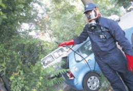 Invazie de țânțari în România după ploile abundente. Cum reacţionează autoritățile