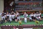 Festivalul Mugurelul Dorohoi 2014_ziua II_99