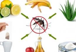 Soluţii naturale și eficiente pentru a scăpa de țânțari