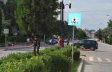 Șoferii pot răsufla ușurați: Copăceii de pe Bulevardul Victoriei din Dorohoi au fost toaletați - FOTO