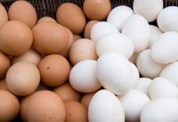 Ce diferenţă este între ouăle albe şi cele maronii? Explicaţia specialiştilor
