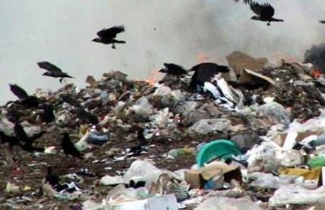 Se închid gropile de gunoi de la Dorohoi și Botoșani