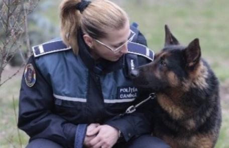Prefectul salută înfiinţarea Poliţiei sanitar-veterinare a animalelor