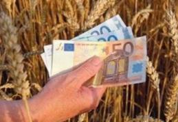 Fermierii care primesc subvenții mai mari de 5.000 de euro pe an vor trebui să se înregistreze ca PFA