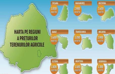 Prețul arendei la terenuri agricole oscilează între 500 și 1500 kg/ha. Unde se găsește cel mai scump și cel mai ieftin pământ din țară