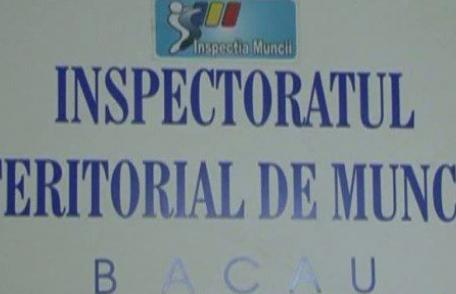 Inspectori din cadrul ITM Botoșani participanți la un simpozion organizat la Bacău