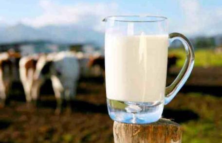 Descoperire incredibilă despre laptele românesc