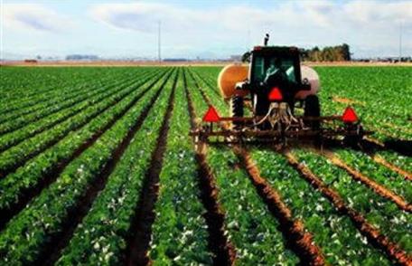 România va colabora în agricultură cu Egipt, Iordania şi Emiratele Arabe