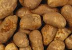 Bulgari de cartofi
