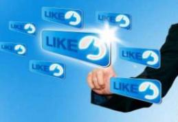 Facebook va avea o reţea de socializare pentru profesionişti, similară LinkedIn