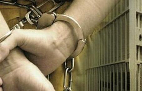 Mandate de executare a pedepsei cu închisoarea puse în aplicare la Cristinești