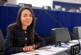 Claudia Țapardel: Liberalii conduși de Blaga și Gorghiu vânează funcții de conducere în Parlament