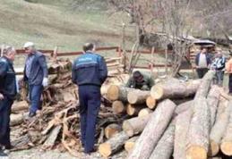 Polițiștii botoșăneni au aplicat amenzi de peste 19 mii lei, în urma acțiunii „Scutul Pădurii 2015”