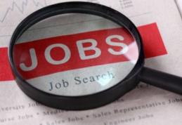 Peste 400 de dorohoieni se aflau în căutarea unui loc de muncă la sfârșitul lunii ianuarie