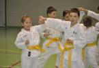 Antrenament Karate la Dorohoi_14