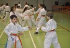 Antrenament Karate la Dorohoi_15