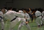 Antrenament Karate la Dorohoi_32