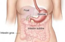 Cancerul de stomac apare din cauza unei bacterii și a anumitor alimente. Cum poate fi prevenit