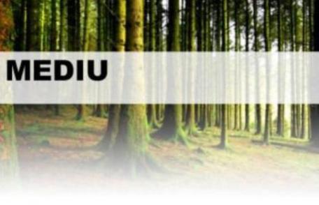 ANUNȚ Ocolul Silvic Dorohoi - Revizuire autorizație de mediu