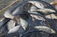 Dosare penale pentru braconaj piscicol pe râul Prut