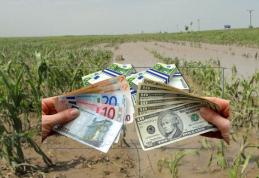 Compensații financiare pentru agricultorii din Botoșani, care au avut culturile distruse de vreme în anul 2014