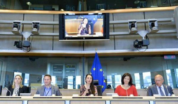 Claudia Tapardel - eurodeputat