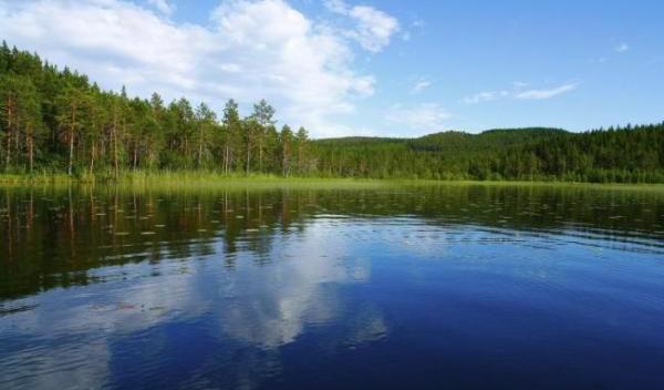 Lac cu aur