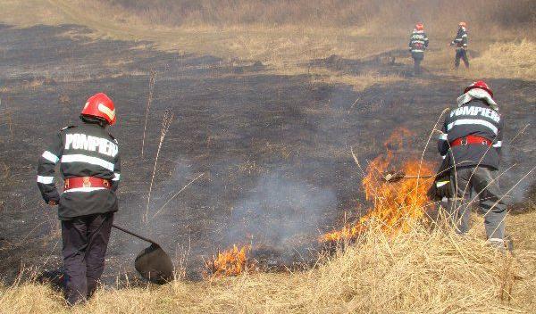 Zece tone de furaje distruse într-un incendiu, la Vorniceni