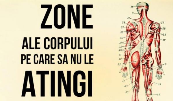 zone_ale_corpului