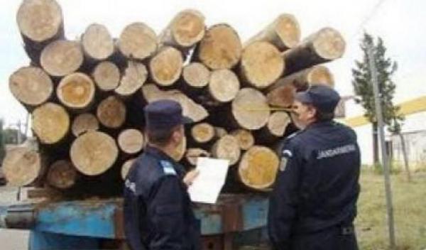 material lemnos recuperat de jandarmi